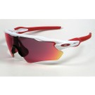 Oakley Radar EV Path polished white / PRIZM Road