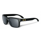 Oakley Holbrook matte black / Grey POLARIZED