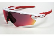 Oakley Radar EV Path polished white / PRIZM Road